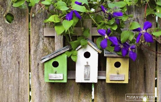 Диви птици во нивната летна куќа - како да се привлечат контрола на штетници и заштита на културата