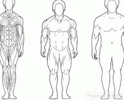 Како да се зголеми мускулите без стероиди