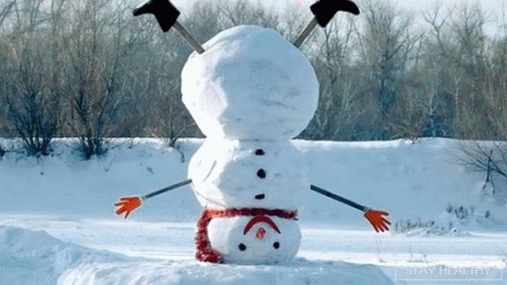 Снешко - кој и кога го измислил зошто нашите предци се плашеа. Зошто снешко наместо нос има морков?